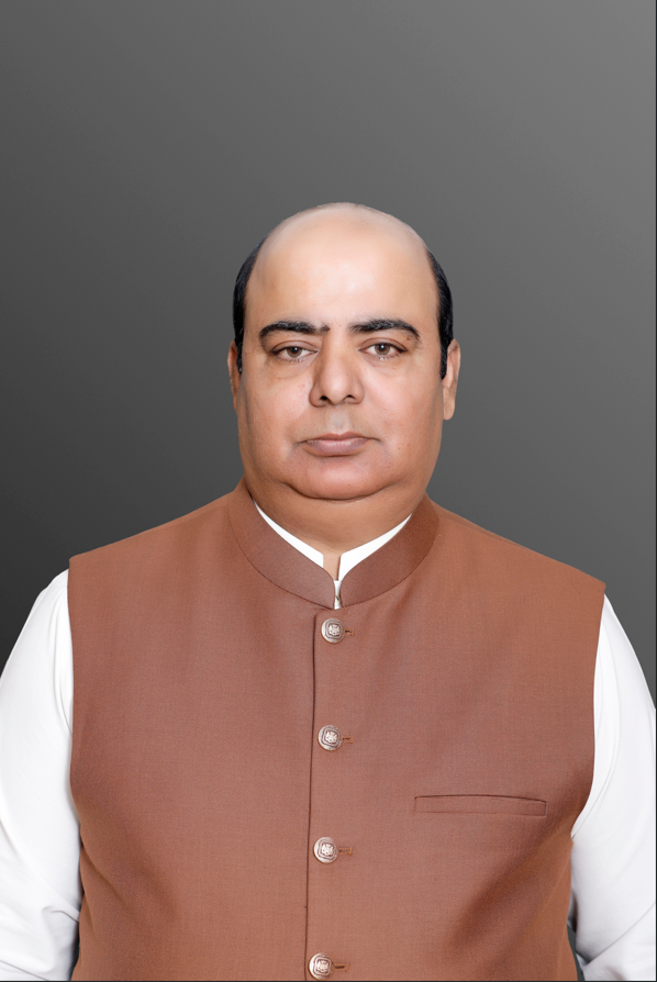 Sultan Mehmood - CEO and Founder